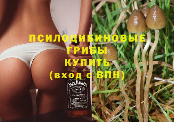 каннабис Верея