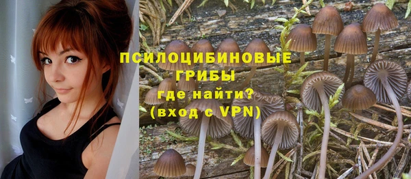 мдма Верхний Тагил