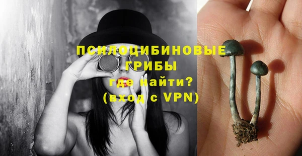 каннабис Верея