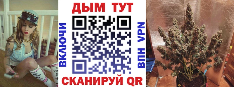 Бошки марихуана индика где найти наркотики Лянтор